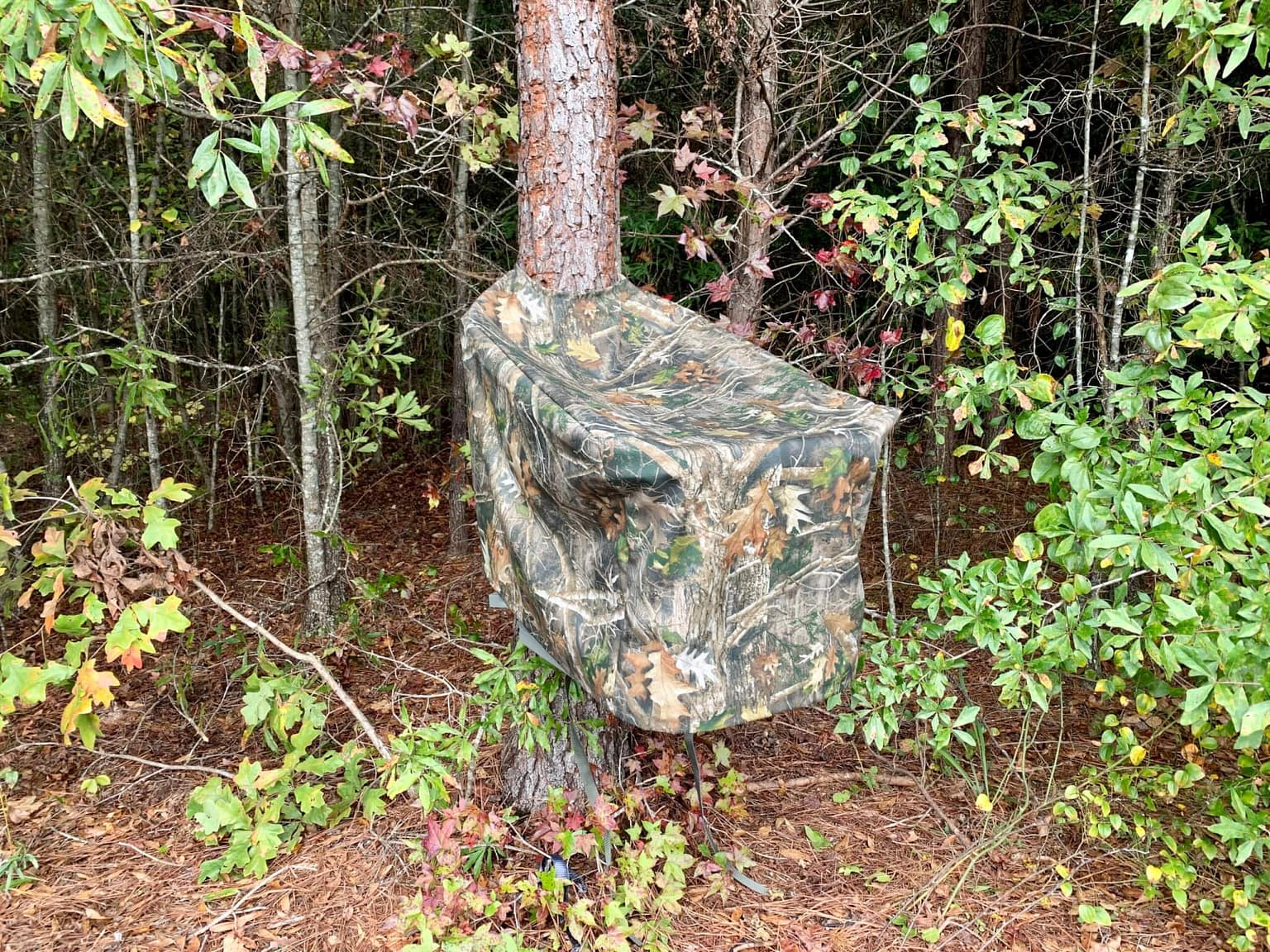 Camo Climber Cover in use on a tree
